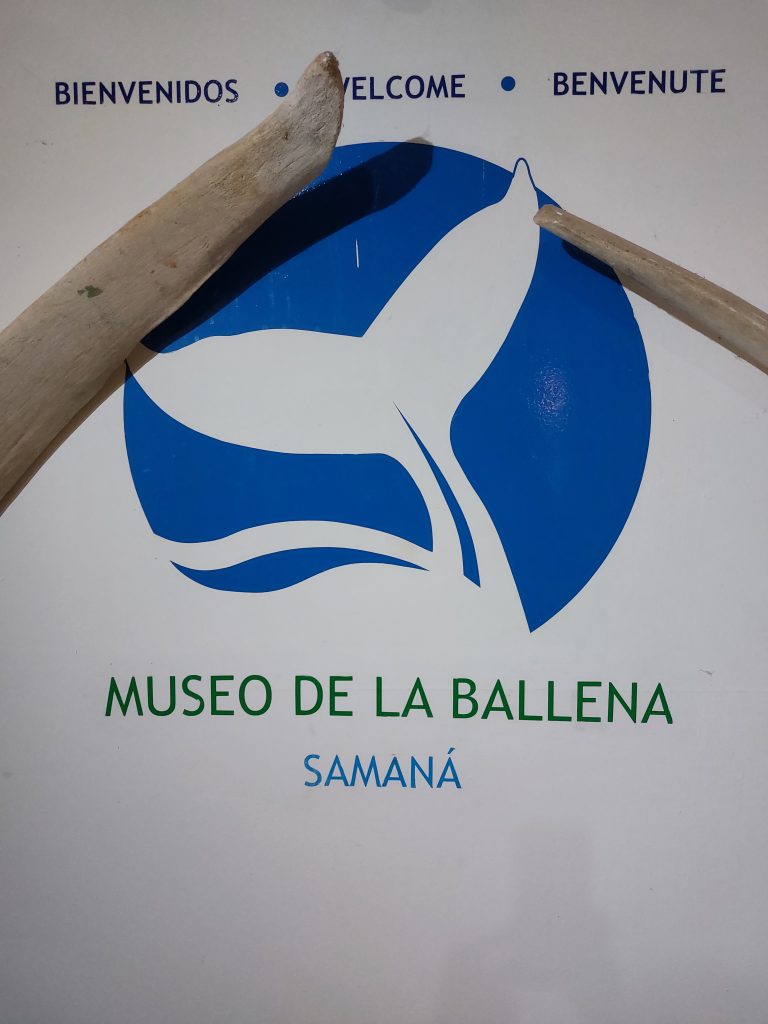 Musée de la Baleine